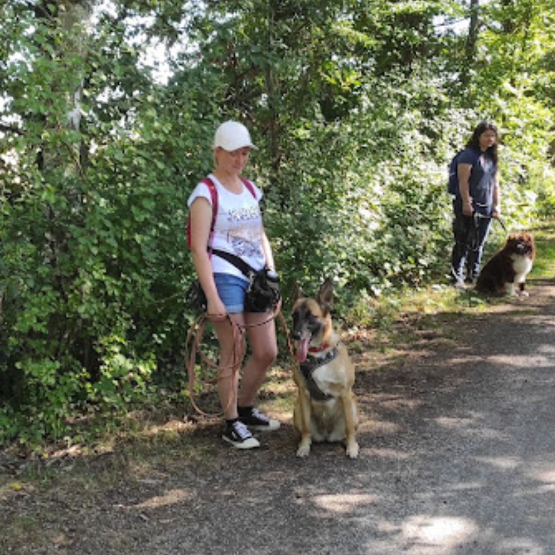 Rééducation comportementale, chien réactif congénère, chien réactif humain, chien qui détruit, chien protection de ressource, chien peur, chien phobie, chien aboiements, chien craintif, chien intenable, chien foufou.       